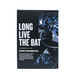 Best reviews of 🤩 DC Chibi DZNR Batman 10-Inch Plush [Modern Age] 🛒 -DC Comics Shop 843309125131 inset3 scaled