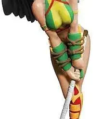 Budget ⌛ DC Ame-Comi Heroine Mini Figures Series 3 Hawkgirl PVC Mini Figure [Re-Release, Damaged Package] 🥰